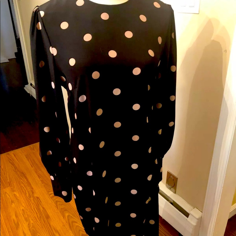Zimmerman Polka Dot Side Ruffle Silk Sleeve Dress